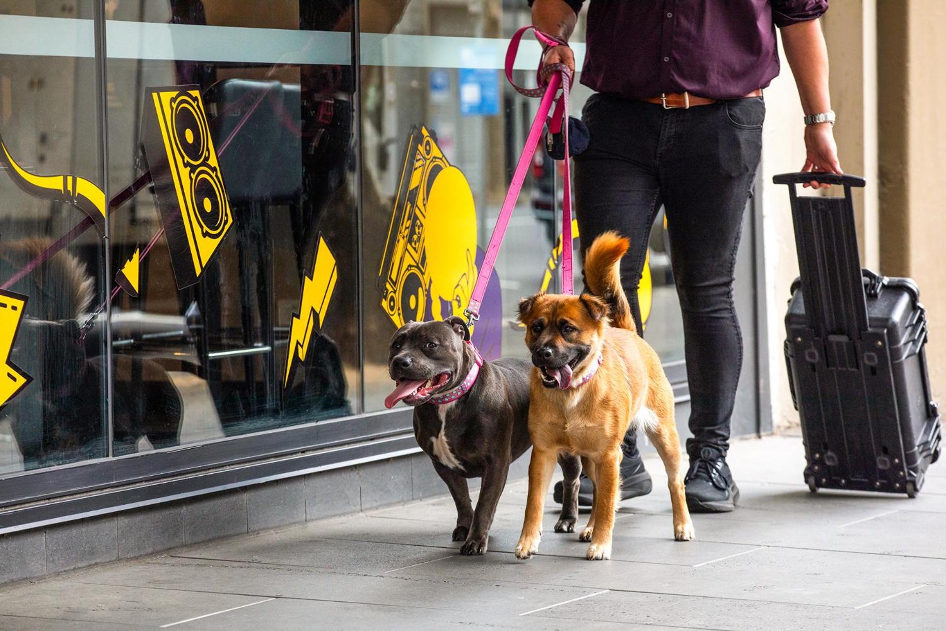 Ink Hotel Melbourne Southbank Zewnętrze zdjęcie